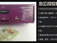广场动物电瓶车选购指南 找到品质与趣味兼备的电动毛绒玩具